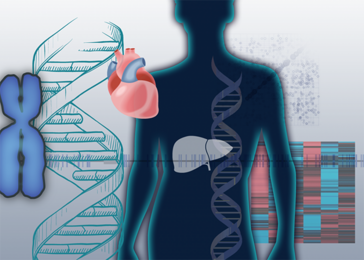 Rendering of human body with DNA and the heart