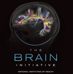BRAIN Initiative