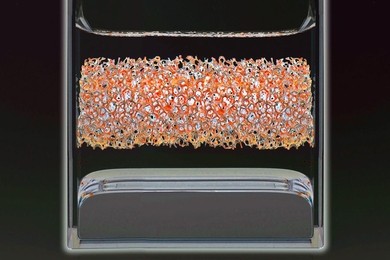 A physical model of the liquid metal battery at room temperature, in a glass container. The bottom layer is the positive electrode. In the real battery this is an alloy of antimony and lead, represented here by mercury. The middle layer is the electrolyte — in reality, a mixed molten salt; here, a solution of salt in water. The top layer is the current collector of the negative electrode, a meta...