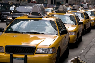 row of yellow taxis