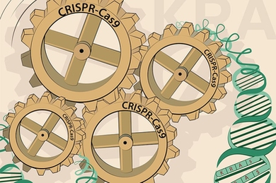 Four gears read "CRISPR-Cas9" and spin together next to DNA strand