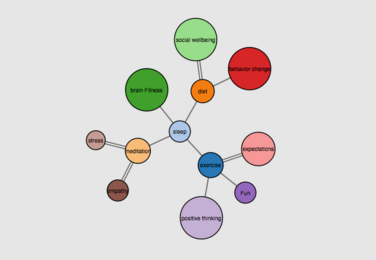 mulitcolored circles connected by lines, each cirlcle with a label such as "social wellbeing," "brain fitness," "sleep"