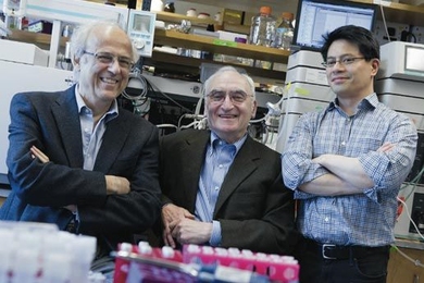 Left to right: Gregory Stephanopoulos of the Department of Chemical Engineering (ChemE), Gerald Fink of the Department of Biology and the Whitehead Institute, and Felix Lam of ChemE are developing new insights and techniques that could dramatically increase the amount of ethanol, butanol, and other biofuels that yeast can produce from raw materials such as corn and sugar cane.   