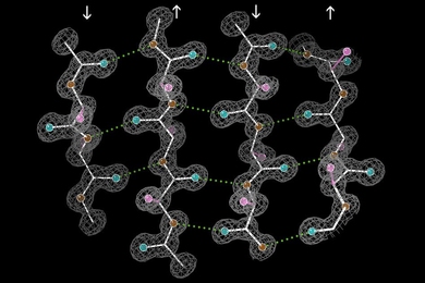 Antiparallel beta-sheet structure of the enzyme catalase: The antiparallel hydrogen bonds (dotted) are between peptide NH and CO groups on adjacent strands. Arrows indicate the chain direction, and electron density contours outline the non-H atoms. 