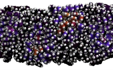 A top-down view of a photo-excited disordered molecular film.