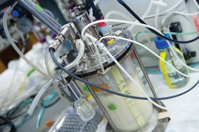 A laboratory-scale bioreactor used by Gregory Stephanopoulos of the Department of Chemical Engineering (ChemE), Gerald Fink of the Department of Biology and the Whitehead Institute, and Felix Lam of ChemE in their Seed Fund-supported research. 