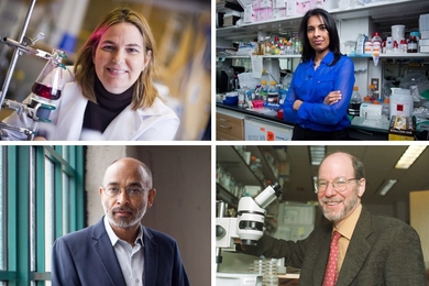 (Clockwise from top left) 
Angela M. Belcher; Sangeeta N. Bhatia; H. Robert Horvitz; and Emery N. Brown. 