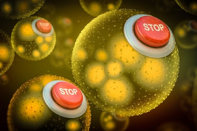 To prevent genetically modified bacteria from escaping into the wider environment, researchers have developed safeguards in the form of two so-called “kill switches,” which they call “Deadman” and “Passcode.” These kill switches can cause synthetic bacteria to die without the presence of certain chemicals.