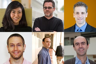 Clockwise from top left: B. Gloria Choi, Christopher Cummins, James DiCarlo, Mehrdad Jazayeri, Jonathan Kelner, and Jared Speck