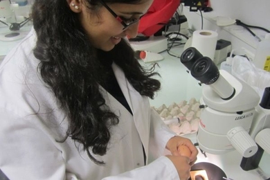 "At l’Institut de la Vision, I helped develop a tool that is changing how biology is viewed — literally. I now plan to continue research full-time in a lab or company, ideally in France, after graduation." –Sunanda Sharma, MIT-France Program participant