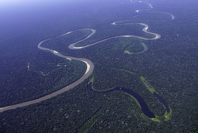 Manu National Park, a large (15,328-square-kilometer) protected area in southeastern Peru, includes several ecological zones and spans an elevation range of 150-4,200 meters above sea level. Manu’s vast tracks of Amazonian rainforest are part of the global tropical forest carbon sink that is slowing the rate of increase in atmospheric carbon dioxide, a primary driver of climate change. 