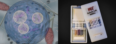 Left: Lipid nanoparticles (carrying siRNA) are shown as they are transported inside cells using endocytic vesicles. Right: Gehrke's lab is developing a diagnostic for Dengue virus, a relative to Zika. The device shown, which tested for Ebola, has silver nanoparticles of different colors that indicate different diseases. On the left is the unused device, opened to reveal the contents inside. On the...