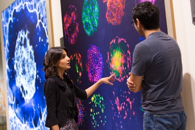 Science art on display at the public galleries of MIT's Koch Institute for Integrative Cancer Research