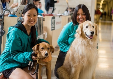 Puppy Lab founder Stephanie Ku (left) poses with Wingnut and Puppy Lab team-in-training Ann Peters of MIT Lincoln Lab and Pythagoras.