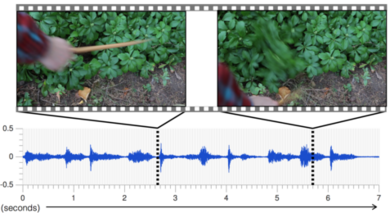 Two images of plants and audio waves