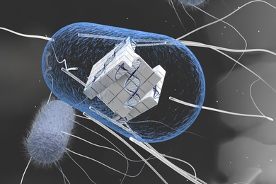 “You can build very complex computing systems if you integrate the element of memory together with computation,” says Timothy Lu, an associate professor of electrical engineering and computer science and of biological engineering, and head of the Synthetic Biology Group at MIT’s Research Laboratory of Electronics.