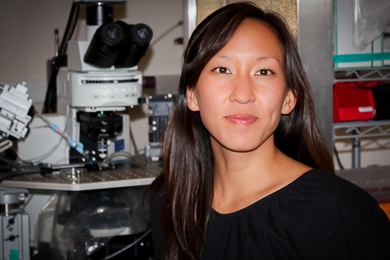 Kay Tye, the Whitehead Career Development Assistant Professor of Brain and Cognitive Sciences and a member of the Picower Institute for Learning and Memory, has been awarded the 2016 Freedman Prize for Exceptional Basic Research.