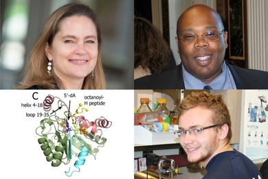 Clockwise from top left: Cathy Drennan, professor of chemistry and biology at MIT; Squire Booker, a professor of chemistry and of biochemistry and molecular biology at Penn State; Martin McLaughlin ’15; and an image of LipA.