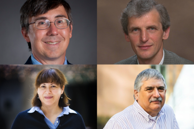 2016 MIT AAAS Fellows: (clockwise from top left) William Green, Wolfgang Ketterle, Howard Shrobe, and Elly Nedivi.
