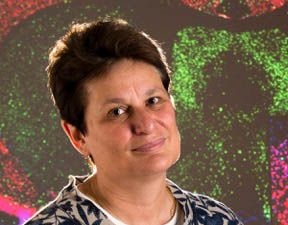 Harvard University neurobiologist Catherine Dulac will receive the 2017 Scolnick Prize in Neuroscience, awarded by the McGovern Institute at MIT.