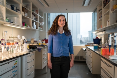 Hadley Sikes, an associate professor in the Department of Chemical Engineering, is one of an increasing number of MIT faculty members who do what might best be called public engineering — emphasizing the interaction between society and technology.