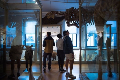 Left to right: Matthew Nicolai, Dallace Francis, and Christian Argenti, MIT seniors in the Department of Mechanical Engineering and members of the fraternity Delta Kappa Epsom, took the MIT History seminar, People and Other Animals, together. 