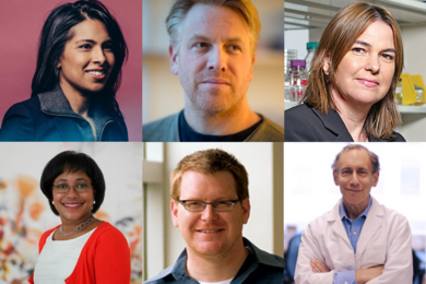 The Marble Center for Cancer Nanomedicine’s faculty is made up of Koch Institute members who are committed to fighting cancer with nanomedicine through research, education, and collaboration. Top row (l-r) Sangeeta Bhatia, director; Daniel Anderson; and Angela Belcher. Bottom row: Paula Hammond; Darrell Irvine; and Robert Langer.