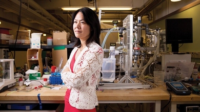 Professor Evelyn Wang, the director of MIT’s Device Research Laboratory, has been appointed associate head of the Department of Mechanical Engineering. 