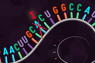 A  new “REPAIR” system edits RNA, rather than DNA.
