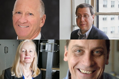 Clockwise from top left: Jeffrey Herd, Alan Edelman, Jonathan How, and Lynette Jones have been honored as IEEE Fellows for 2018.