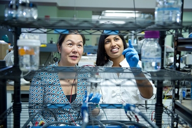 Evelyn Wang (left) and Heena Mutha have developed a nondestructive method of quantifying the detailed characteristics of carbon nanotube samples — a valuable tool for optimizing these materials for use as electrodes in a variety of practical devices. 