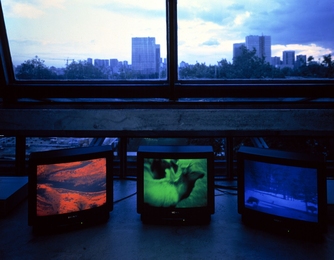 Diana Thater: "Snake River, 1994" (Three video monitors, three media players, digital files, 30 minutes each)