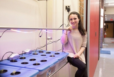 Rachel Weissman, a first-year student studying urban studies and planning at MIT, led the effort to install garden boxes in MacGregor House.