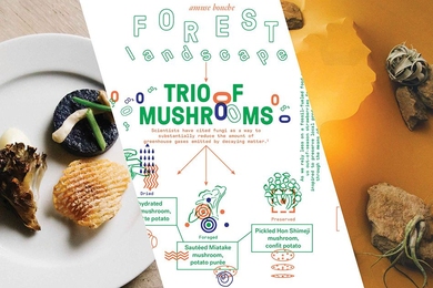Signifying the forest, the Climate Changed Symposium dinner appetizer was a trio of dried, preserved and foraged mushrooms — fungi known to help the soil store carbon dioxide and thus slow the pace of climate change. 
