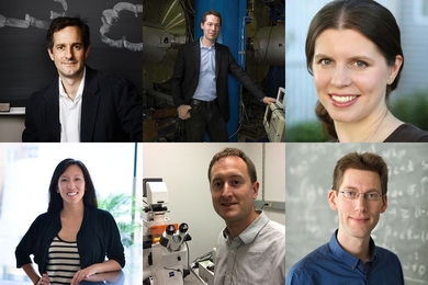Newly tenured professors in the School of Science (clockwise from top left): Daniel Cziczo, Matthew Evans, Anna Frebel, Aram Harrow, Adam Martin, and Kay Tye.