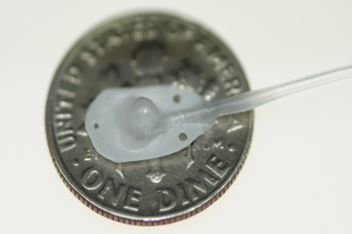 Therepi’s reservoir, which would attach directly to the damaged heart tissue, is placed on a dime for size reference and connected to a self-sealing subcutaneous port.