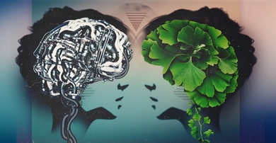 Journal of Design and Science winning essays cover a range of disciplines and perspectives, from design and tech, to health and gender, to AI and morality.