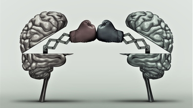 Neuroscientists are debating the nature and meaning of neural activity during the critical moment of working memory when people must hold information in mind.