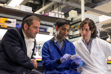 The researchers (left to right), Joseph Jacobson, a professor of media arts and sciences and head of the Molecular Machines research group, and graduate students in the Media Lab, Pranam Chatterjee and Noah Jakimo.