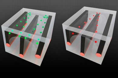 By integrating conductive wires along with microfluidic channels in long fibers, the researchers were able to demonstrate the ability to sort cells — in this case, separating living cells from dead ones, because the cells respond differently to an electric field. The live cells, shown in green, are pulled toward the outside edge of the channels, while the dead cells (red) are pulled toward the c...