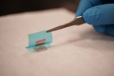 MIT researchers have devised a way to grow a single crystalline compound semiconductor on its substrate through two-dimensional materials. The compound semiconductor thin film is then exfoliated by a flexible substrate, showing the rainbow color that comes from thin film interference.