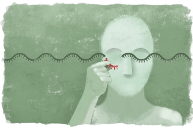 Researchers have discovered that full-length introns — that is, those that have been cut out but remain otherwise intact — can persist and carry out useful biological functions.