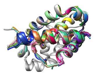 The binding interface between a peptide and its Bcl-2 protein target is composed of common structural motifs known as TERMs.
