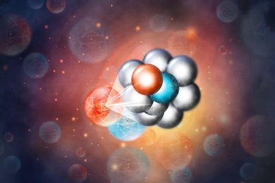 MIT physicists find quarks move slower in atoms with more pairs of protons and neutrons.