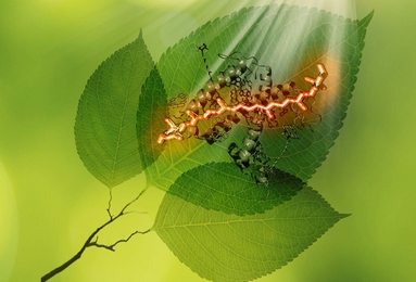 Researchers mapped out pathways of energy flow that connect the high energy side of the absorbed solar spectrum to the low energy side.