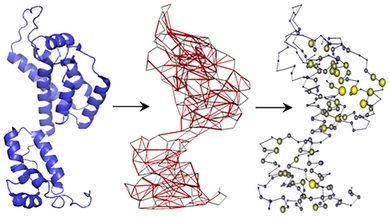 Structure-based network analysis transforms HIV proteins into networks used to identify T cell targets resistant to mutation. 