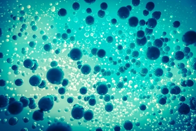 MIT researchers have developed a method for analyzing massive sets of data on single cells, that captures comprehensive samples — called “sketches” — while retaining retain cell diversity. 