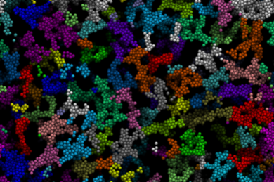 Confocal micrograph of fluorescently labeled polymeric colloids forming a model colloidal gel
