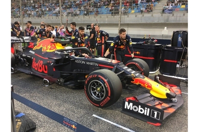 F1 driver Max Verstappen on the grid at the Formula One Gulf Air Bahrain Grand Prix 2019