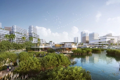 Mangroves will protect the shoreline from waves, retain soil, support biodiversity, and help clean the water. 